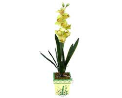 zel Yapay Orkide Sari  anakkale iek siparii sitesi 