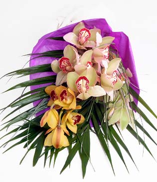 anakkale online ieki , iek siparii  1 adet dal orkide buket halinde sunulmakta