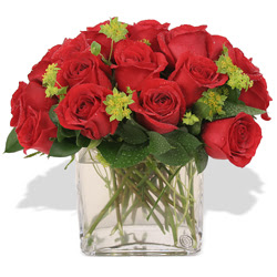 Çanakkale online çiçek gönderme sipariş  10 adet kirmizi gül ve cam yada mika vazo