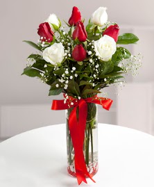 5 kırmızı 4 beyaz gül vazoda  Çanakkale online çiçekçi , çiçek siparişi 