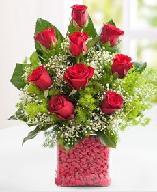 Cam içerisinde 9 adet kırmızı gül  Çanakkale çiçek online çiçek siparişi 