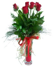 vazo içerisinde 5 kırmızı gül  Çanakkale ucuz çiçek gönder 