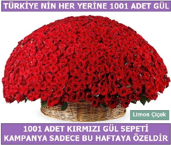 1001 Adet kırmızı gül Bu haftaya özel  Çanakkale internetten çiçek satışı 