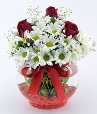 Fanusta 3 Gül ve Papatya  Çanakkale çiçek online çiçek siparişi 