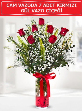 Cam vazoda 7 adet kırmızı gül çiçeği  Çanakkale çiçekçiler 