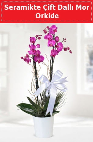 Seramikte Çift Dallı Mor Orkide  Çanakkale çiçek gönderme sitemiz güvenlidir 