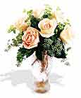  Çanakkale hediye sevgilime hediye çiçek  6 adet sari gül ve cam vazo