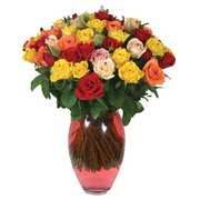 51 adet gül ve kaliteli vazo   Çanakkale çiçekçiler 