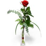  Çanakkale online çiçek gönderme sipariş  1 adet kirmizi gül cam yada mika vazo içerisinde