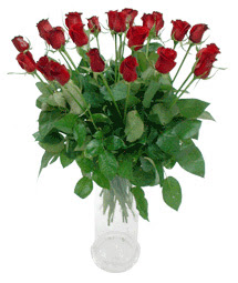  Çanakkale online çiçek gönderme sipariş  11 adet kimizi gülün ihtisami cam yada mika vazo modeli