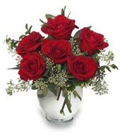 Vazo içerisinde 5 adet kırmızı gül  Çanakkale anneler günü çiçek yolla 