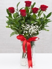 cam vazo içerisinde 5 adet kırmızı gül  Çanakkale online çiçekçi , çiçek siparişi 