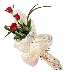 3 adet kırmızı gül buketi  Çanakkale ucuz çiçek gönder 