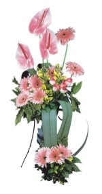  Çanakkale ucuz çiçek gönder  Pembe Antoryum Harikalar Rüyasi