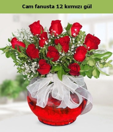 Cam içerisinde 12 adet kırmızı gül  Çanakkale çiçek online çiçek siparişi 