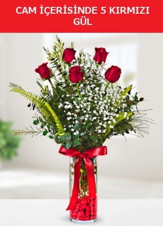 Cam içerisinde 5 adet kırmızı gül  Çanakkale hediye sevgilime hediye çiçek 